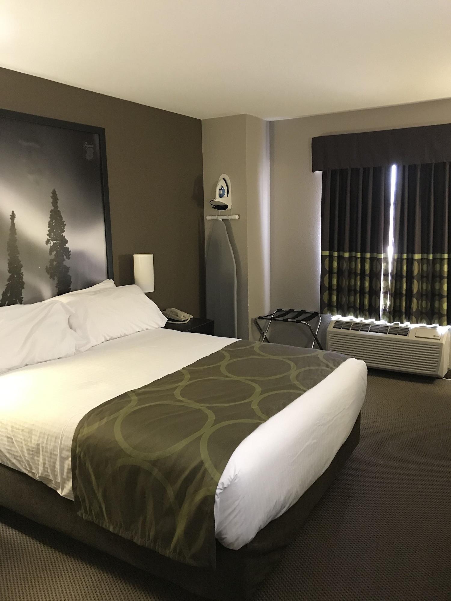 Super 8 By Wyndham Prince Albert Esterno foto